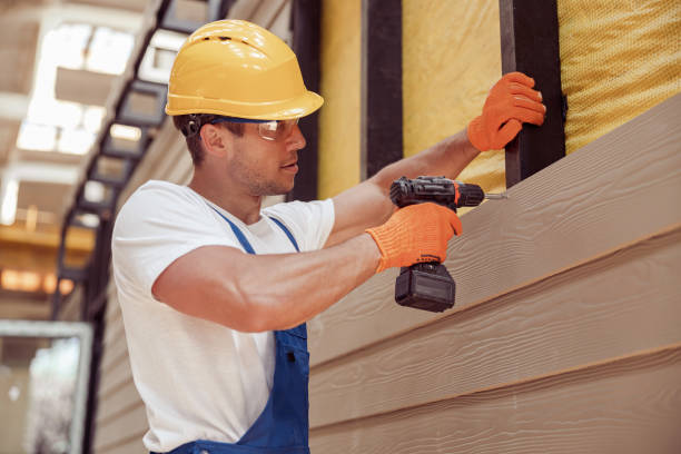 Best Vinyl Siding Installation  in Allendale, SC