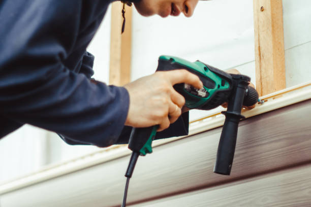 Best Siding Painting and Refinishing  in Allendale, SC